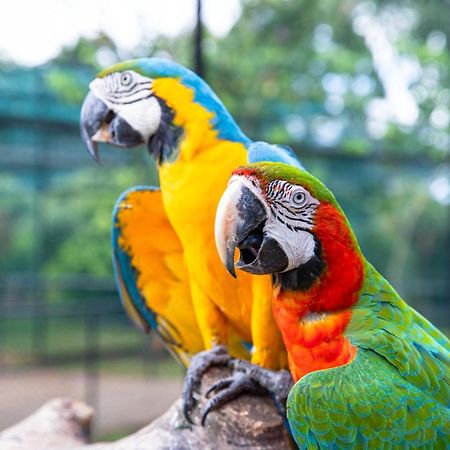 Birds Resort Хамбантота Екстер'єр фото